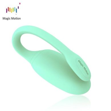 Смарт-тренажер Кегеля Magic Motion Kegel Rejuve, бюджетний варіант, для тренувань і задоволення SO3114 фото