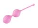 Вагінальні кульки Femintimate Kegel Balls, діаметр 3,5 см, маса 77 г FM40601 фото 1